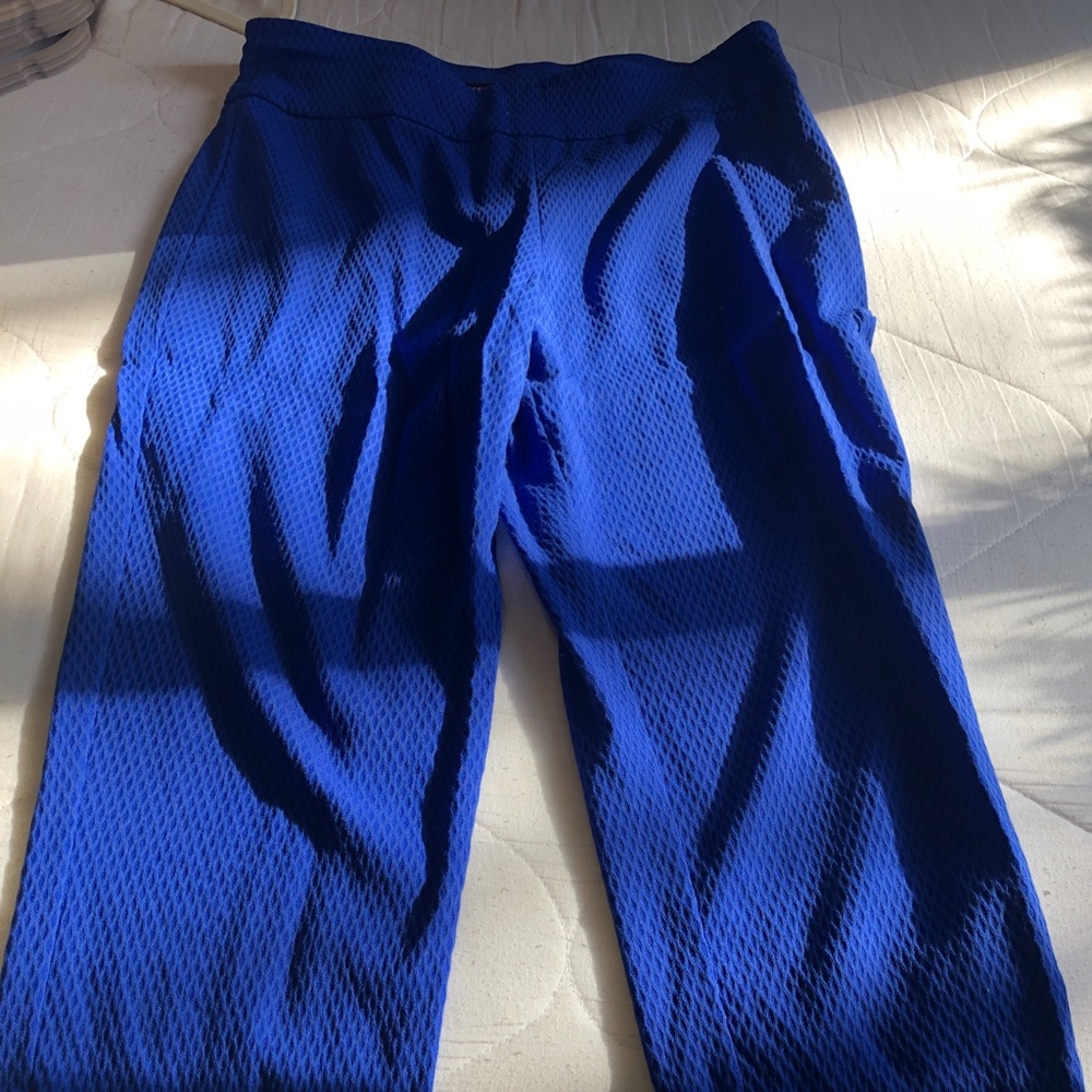 Stretchy royal blue capris